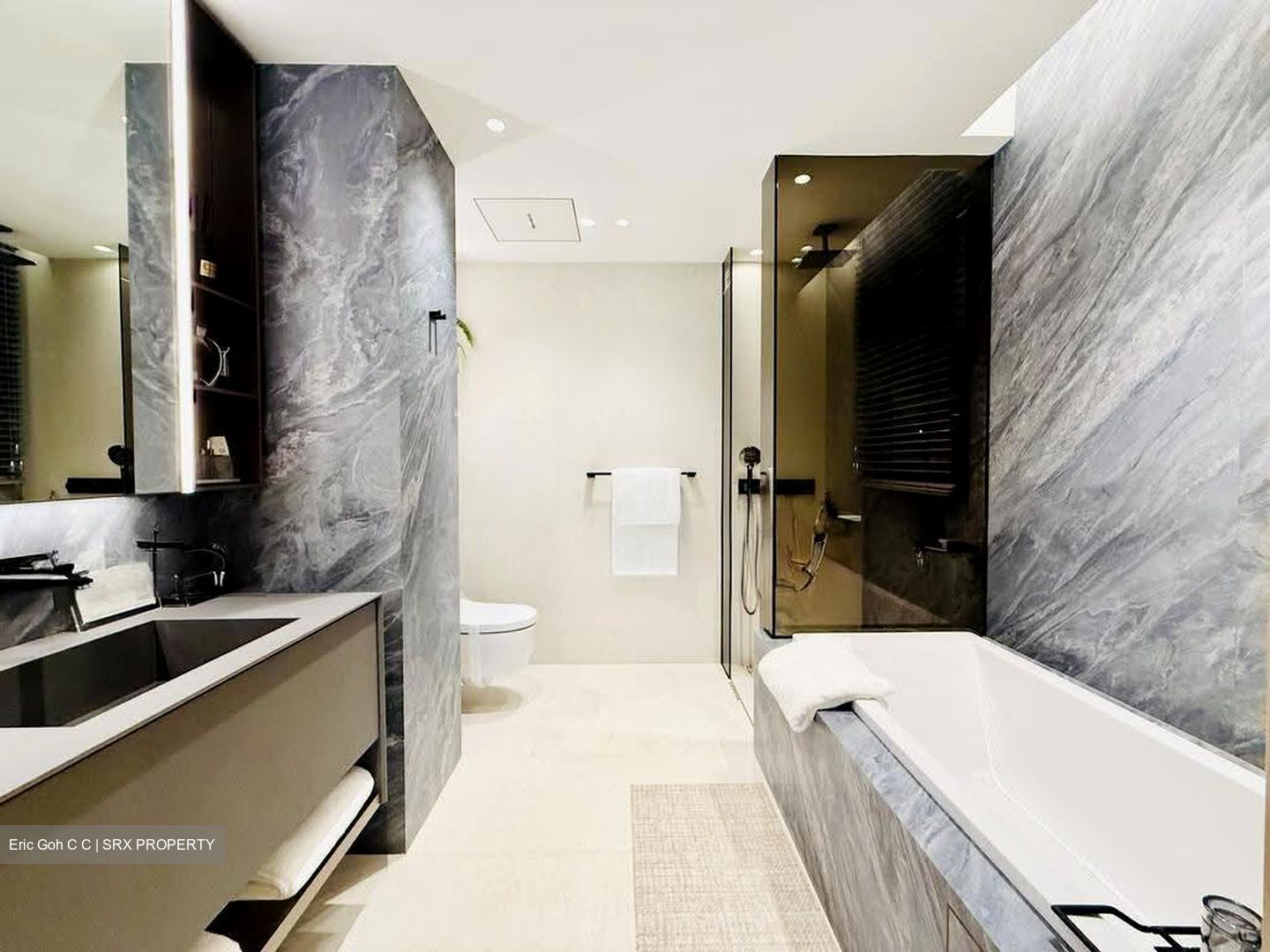 Union Square Residences (D1), Condominium #624117061